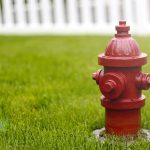Fire hydrant on the street (Animals) hydrant,outdoors,grass,fire,metal,red