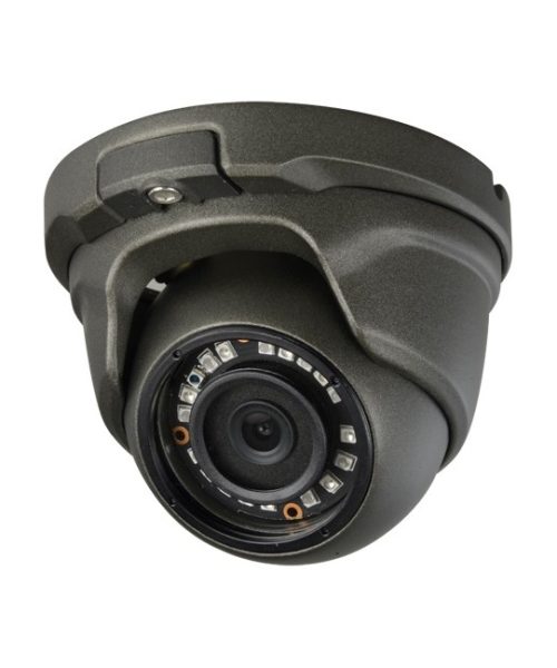 Dome camera (1)